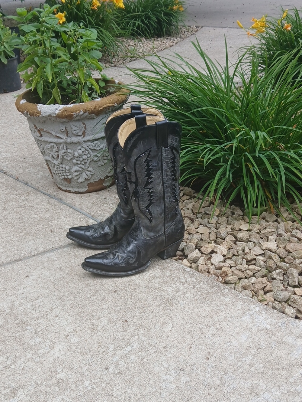 Corral Women's Eagle Sequin Inlay Snip Toe Cowgirl Boots model R1003, Sz 9.5 - Picture 11 of 12